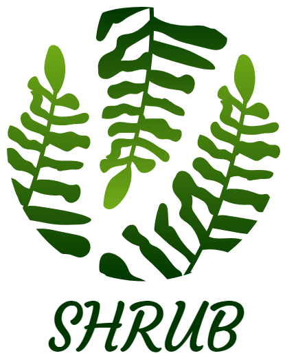 Hot Sale Shrub Store