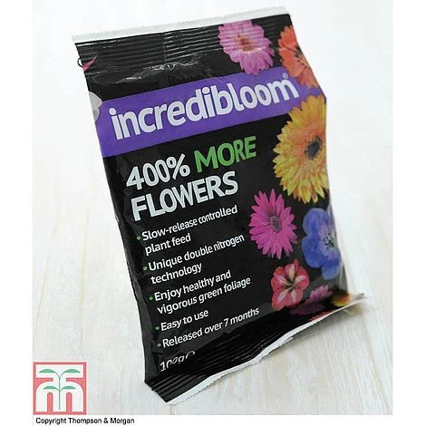 Clematis 'New Love' - Image 10